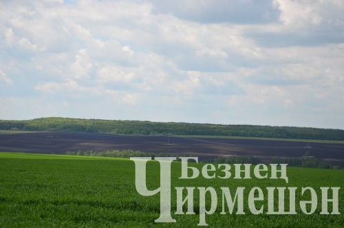 Чирмешән районы башлыгы Рамил Айбатов иң яхшы механизаторларны акчалата сертификатлар белән бүләкләде (ФОТОРЕПОРТАЖ)