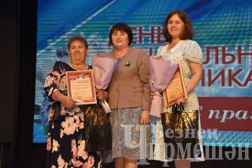 Чирмешән районының социаль тармак хезмәткәрләрен хөрмәтләделәр (ФОТОРЕПОРТАЖ)