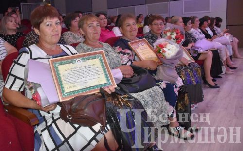 Чирмешән районының социаль тармак хезмәткәрләрен хөрмәтләделәр (ФОТОРЕПОРТАЖ)
