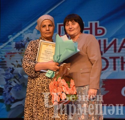 Чирмешән районының социаль тармак хезмәткәрләрен хөрмәтләделәр (ФОТОРЕПОРТАЖ)