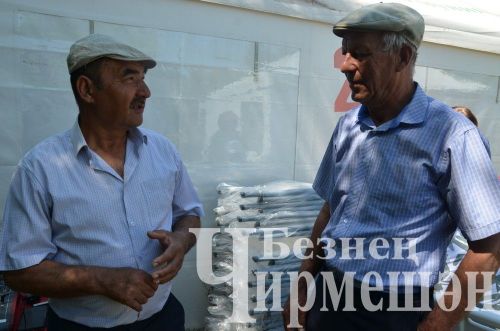 Чирмешән эшмәкәрләре футболдан соң сарык шулпасы белән сыйландылар (ФОТОРЕПОРТАЖ)