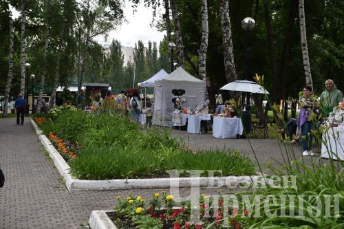 Самарада узган Сабан туена чирмешәнлеләр дә бардылар (ФОТОРЕПОРТАЖ)