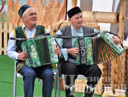 Самарада узган Сабан туена чирмешәнлеләр дә бардылар (ФОТОРЕПОРТАЖ)