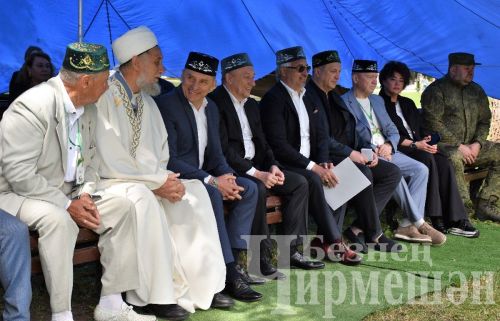 Самарада узган Сабан туена чирмешәнлеләр дә бардылар (ФОТОРЕПОРТАЖ)