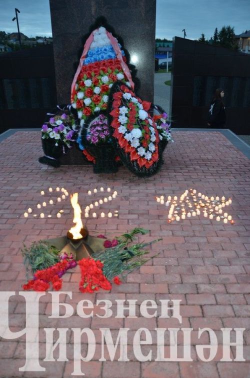 В Черемшанском районе почтили память героев и зажгли свечи у Вечного огня (ФОТОРЕПОРТАЖ)