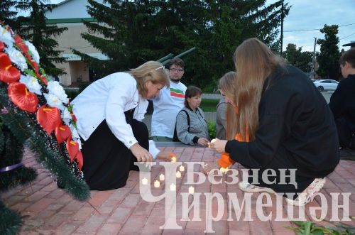 В Черемшанском районе почтили память героев и зажгли свечи у Вечного огня (ФОТОРЕПОРТАЖ)