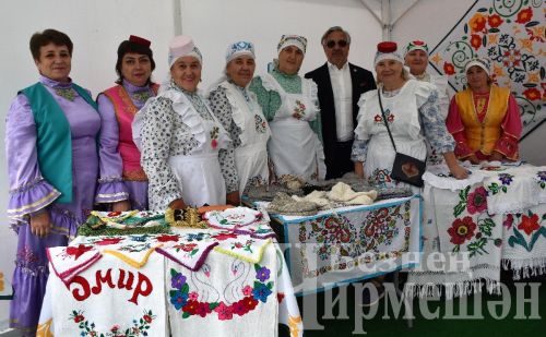 Самарада узган Сабан туена чирмешәнлеләр дә бардылар (ФОТОРЕПОРТАЖ)