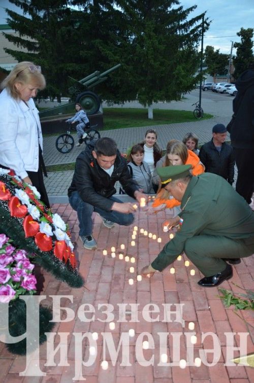 В Черемшанском районе почтили память героев и зажгли свечи у Вечного огня (ФОТОРЕПОРТАЖ)
