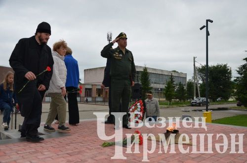 В Черемшанском районе почтили память героев и зажгли свечи у Вечного огня (ФОТОРЕПОРТАЖ)