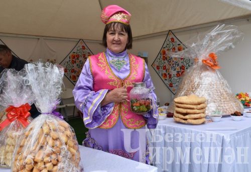 Самарада узган Сабан туена чирмешәнлеләр дә бардылар (ФОТОРЕПОРТАЖ)
