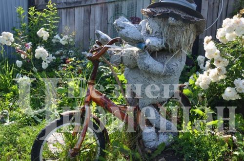 Түбән Кәминкәдән Гөлнара Зарипова гөлчәчәкнең 100дән күбрәк төрен үстерә (ФОТОРЕПОРТАЖ)