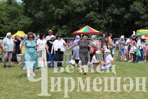Чирмешән район Сабан туе: уеннар, бәйгеләр (ФОТОРЕПОРТАЖ)