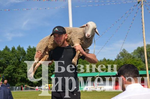 Чирмешән Сабан туе: баш батыр Марат Каримовны питбайк белән бүләкләделәр (ФОТОРЕПОРТАЖ)