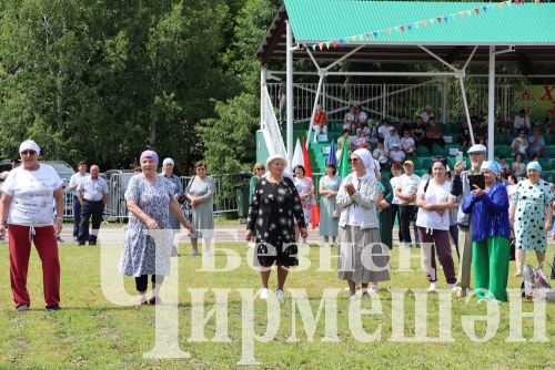 Чирмешән район Сабан туе: уеннар, бәйгеләр (ФОТОРЕПОРТАЖ)