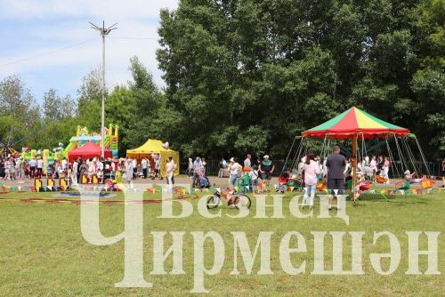 Чирмешән район Сабан туе: уеннар, бәйгеләр (ФОТОРЕПОРТАЖ)