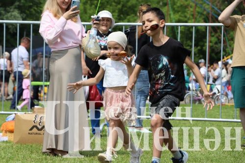 Чирмешән район Сабан туе: уеннар, бәйгеләр (ФОТОРЕПОРТАЖ)