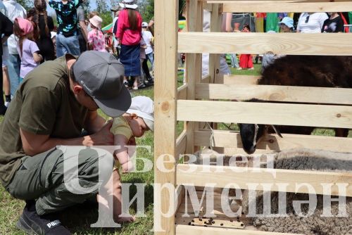 Чирмешән район Сабан туе: уеннар, бәйгеләр (ФОТОРЕПОРТАЖ)