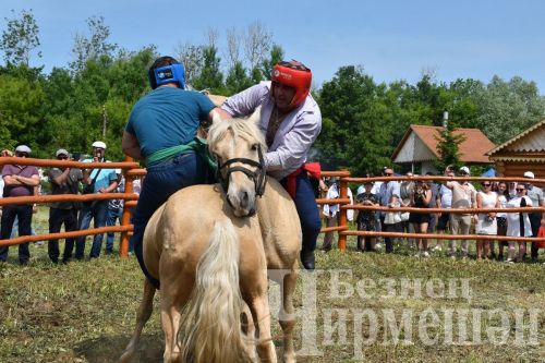 Чирмешән Сабан туе: аударыш (ФОТОРЕПОРТАЖ)
