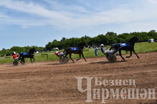 Чирмешән Сабан туе: ат чабышлары  (ФОТОРЕПОРТАЖ)