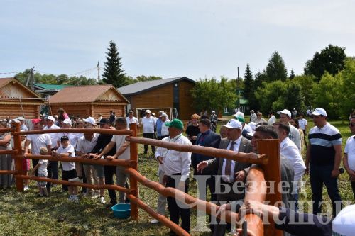 Чирмешән Сабан туе: аударыш (ФОТОРЕПОРТАЖ)