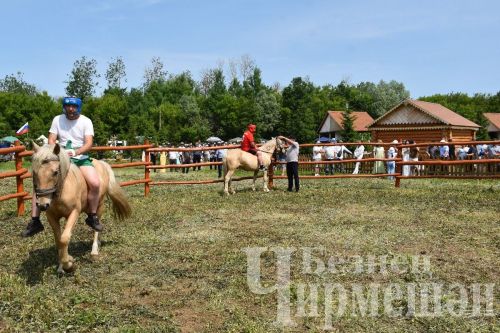Чирмешән Сабан туе: аударыш (ФОТОРЕПОРТАЖ)