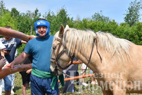 Чирмешән Сабан туе: аударыш (ФОТОРЕПОРТАЖ)