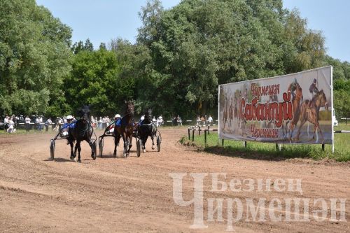 Чирмешән Сабан туе: ат чабышлары  (ФОТОРЕПОРТАЖ)