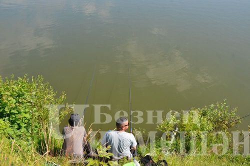 Черемшанцы на Ильмовском пруду соревновались в рыбной ловле (ФОТОРЕПОРТАЖ)