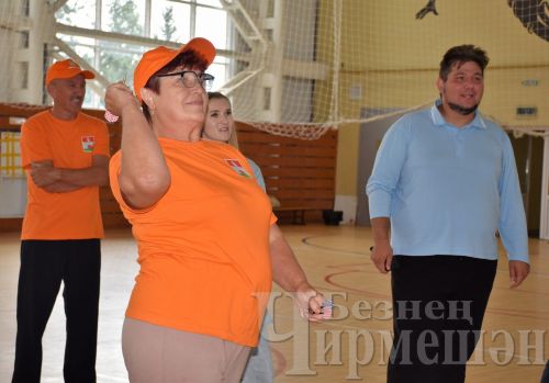 В Черемшане прошли межрайонные соревнования по дартсу среди пенсионеров (ФОТОРЕПОРТАЖ)