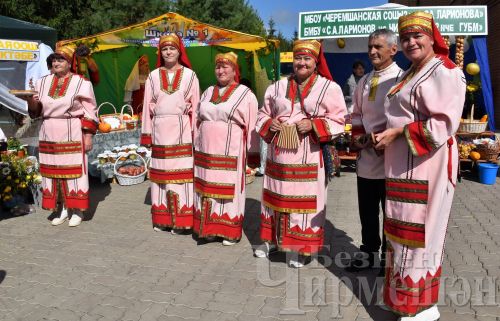 Чирмешәндә укытучыларның август конференциясе хәйрия ярминкәсе белән башланды (ФОТОРЕПОРТАЖ)