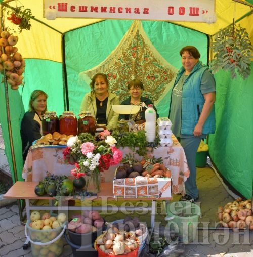 Чирмешәндә укытучыларның август конференциясе хәйрия ярминкәсе белән башланды (ФОТОРЕПОРТАЖ)