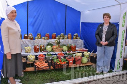 Чирмешәндә укытучыларның август конференциясе хәйрия ярминкәсе белән башланды (ФОТОРЕПОРТАЖ)