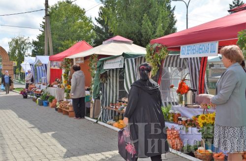 Чирмешәндә укытучыларның август конференциясе хәйрия ярминкәсе белән башланды (ФОТОРЕПОРТАЖ)