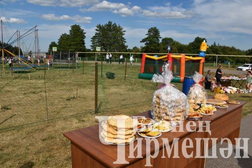 Туймәтлеләр Авыл көнендә очрашты (ФОТОРЕПОРТАЖ)