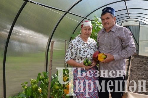 Кечкенә Якты Тауның шкатулка ясау остасы да бар (ФОТОРЕПОРТАЖ)