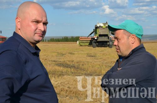 Чирмешән районында урак уңганнарын тагын бүләкләделәр (ФОТОРЕПОРТАЖ)