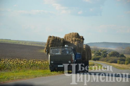 Чирмешән районында урак уңганнарын тагын бүләкләделәр (ФОТОРЕПОРТАЖ)