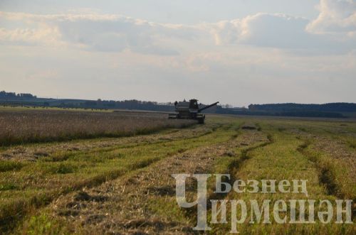 Чирмешән районында урак уңганнарын тагын бүләкләделәр (ФОТОРЕПОРТАЖ)