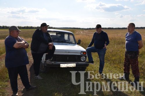Чирмешән районында урак уңганнарын тагын бүләкләделәр (ФОТОРЕПОРТАЖ)