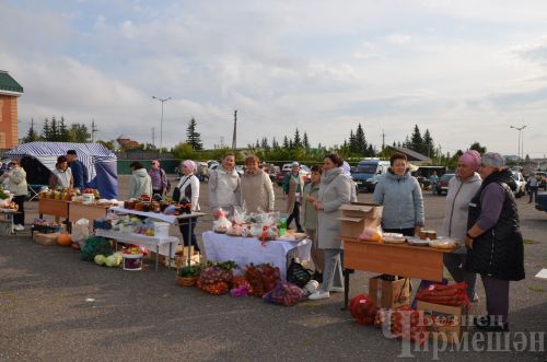 Чирмешән районы мәктәпләре Игелеклелек ярминкәсендә сату итте (ФОТОРЕПОРТАЖ)