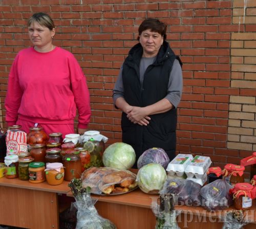 Чирмешән районы мәктәпләре Игелеклелек ярминкәсендә сату итте (ФОТОРЕПОРТАЖ)