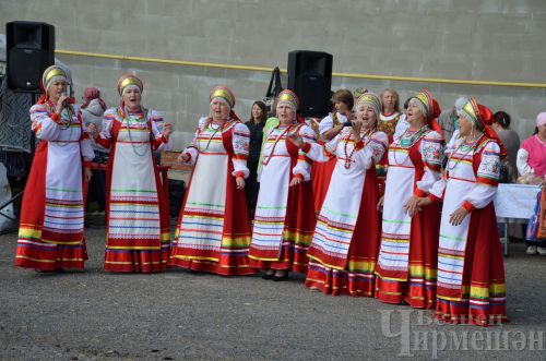 Чирмешән районы мәктәпләре Игелеклелек ярминкәсендә сату итте (ФОТОРЕПОРТАЖ)