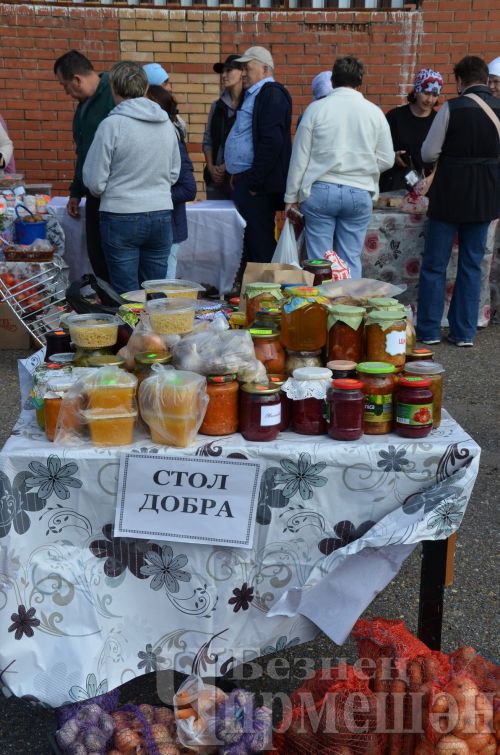 Чирмешән районы мәктәпләре Игелеклелек ярминкәсендә сату итте (ФОТОРЕПОРТАЖ)