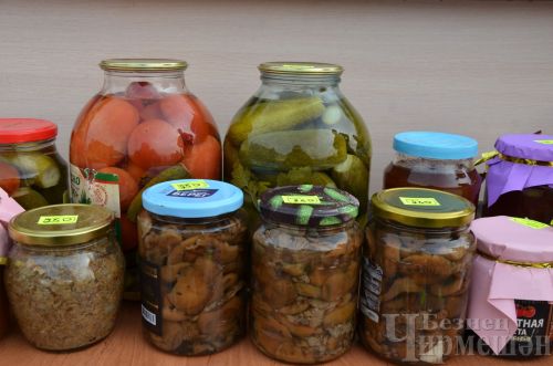 Чирмешән районы мәктәпләре Игелеклелек ярминкәсендә сату итте (ФОТОРЕПОРТАЖ)