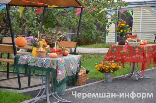Двойной праздник в Черемшане: тепло души и новые дороги (ФОТОРЕПОРТАЖ)