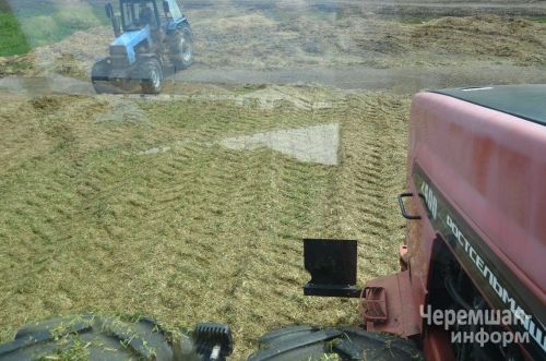 "Әккәрәй"дә сенаж салалар (ФОТОРЕПОРТАЖ)