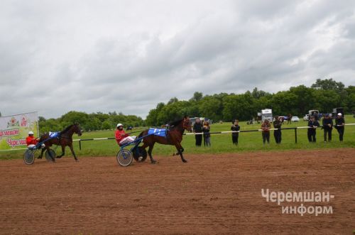 Чирмешән Сабан туе-2026 - ат чабышы (ФОТОРЕПОРТАЖ)
