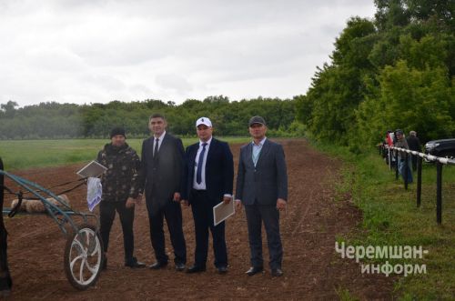 Чирмешән Сабан туе-2026 - ат чабышы (ФОТОРЕПОРТАЖ)