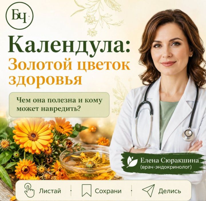 Календулы цветки