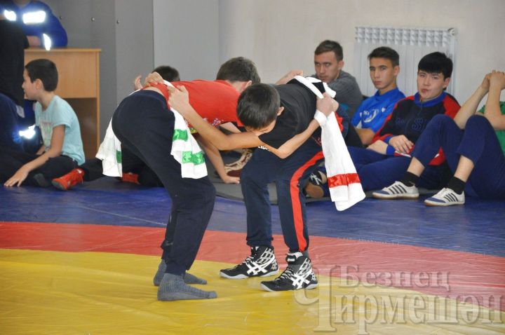 Черемшанские борцы на соревнованиях в Нурлате заняли первые и вторые места